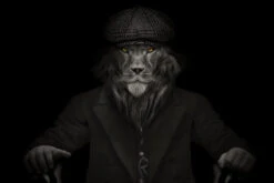 VisorSoc Beschermhoesje Voor Lens Vizierhelm 10 VisorSoc Beschermhoesje Voor Lens Vizierhelm -Blizzard Winkel King Lion 768x512 1