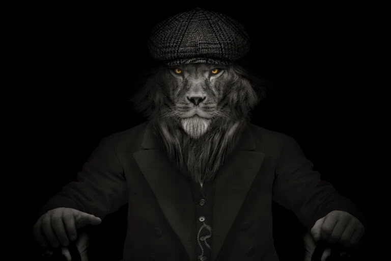 VisorSoc Beschermhoesje Voor Lens Vizierhelm 5 VisorSoc Beschermhoesje Voor Lens Vizierhelm - Afbeelding 5